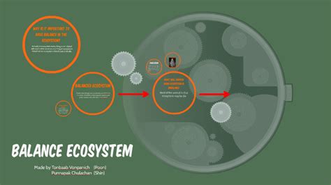 Balance Ecosystem By Poonkid Vonpanich On Prezi