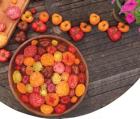 Discover The Tomato Rainbow And The World Tomato Society Edible