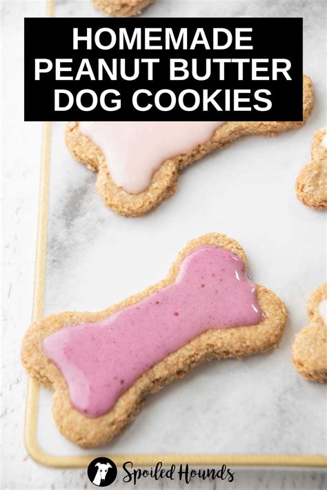 Best Homemade Peanut Butter Dog Cookies Spoiled Hounds