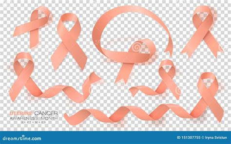 Uterine Cancer Awareness Month Peach Color Ribbon On Transparent