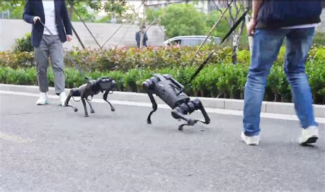 Meet Unitree A1 A China Made Robot Dog You Can Walk Cntechpost