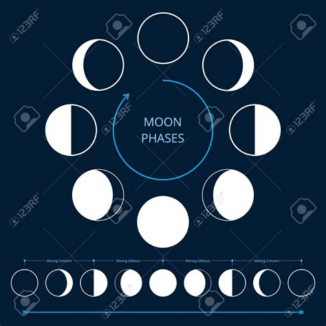 Moon Phases Icons Astronomy Lunar Phases Whole Cycle From New