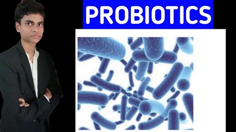 What Are Probiotics Functions Of Probiotics Concept Explained