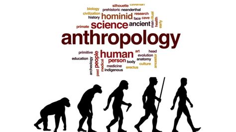 Exploring The Holistic Nature Of Anthropology