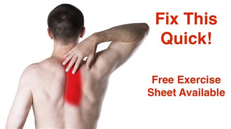 Fix Pain Between Shoulder Blades Free Exercise Sheet Youtube