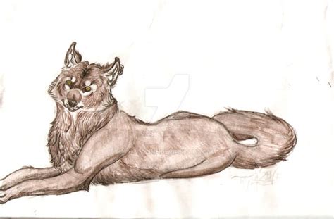 Wolf Lying Down 2 By Thylazine On Deviantart