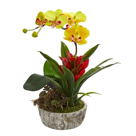 Artificial Orchid Bromeliad And Succulent Arrangement In Planter