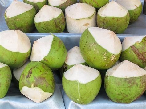 Thailand Coconuts Crazy Facts And 3 Ways To Enjoy Thailands Coconuts