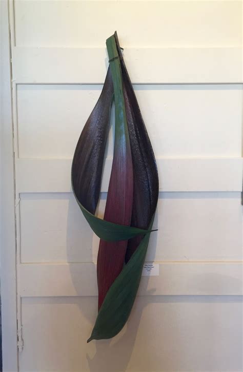 Pin By Jacki Roberts On Palm Tree Seed Pod Ideas Palm Frond Art Palm
