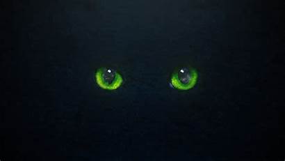 Eyes Cat Shiny Graphic Minimalism Reflection Stone