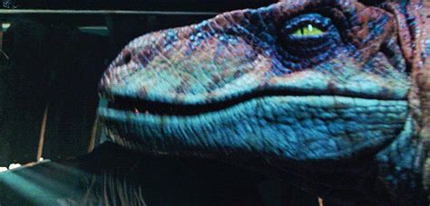 The Reason Why The Velociraptors Look Different Between Films