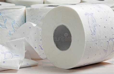 Rolls Of Toilet Paper Stock Image Image Of Domestic 23877235