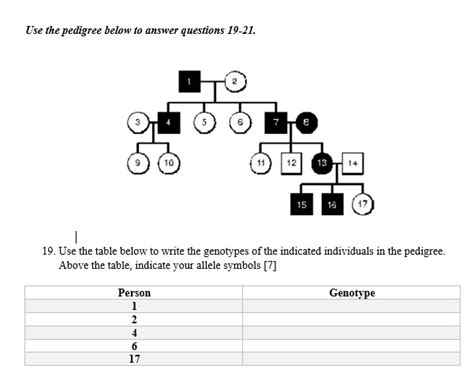 Solved Use The Pedigree Below To Answer Questions Course Hero