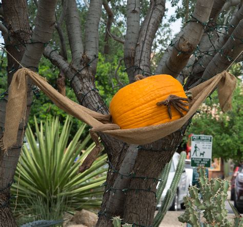 Enchanted Pumpkin Garden Carefree Arizona Writtenfyi