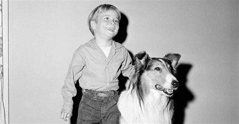 134 Best Timmy And Lassie Images On Pinterest Tv Series Vintage Tv