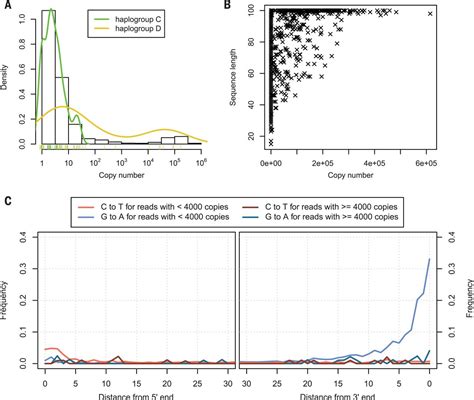 comment on “late pleistocene human skeleton and mtdna link paleoamericans and modern native