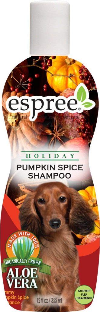 Pumpkin Spice For Dogs How To Celebrate Psl Season With Your Pup