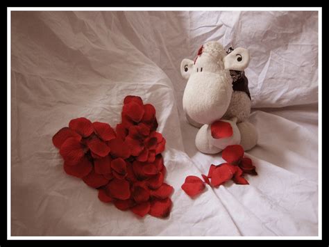 Valentines Flickr