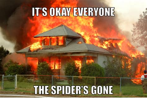 Not A Meme California Man Sets House On Fire To Kill Spiders