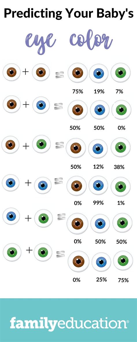 All About The Human Eye Color Chart Ovo Mod Fashion Eye Color