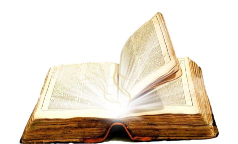 Open Bible Transparent Png All
