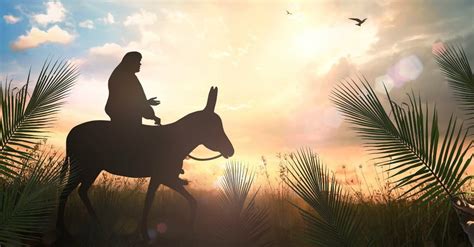 Jesus Rode A Donkey And Why Many Christians Still Cant Get The Joke