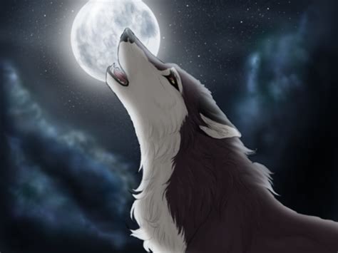 Anime Wolf We Heart It Wolf Anime And Moonlight Anime Wolf