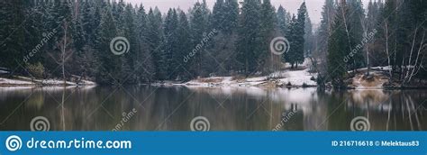 Spring Forest With Remnants Of Snow On The Shore Of The Lake Stock