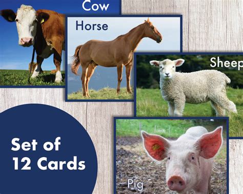 Printable Realistic Farm Animal Flash Cards Learning Cards Etsy