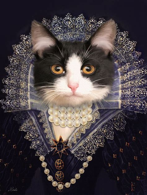 A Black And White Cat Wearing A Blue Dress With Pearls