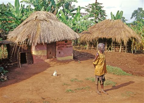 Village Africain Maison Traditionnelle Africaine