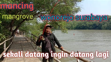 Spot Mancing Di Mangrove Wonorejo Surabaya Youtube