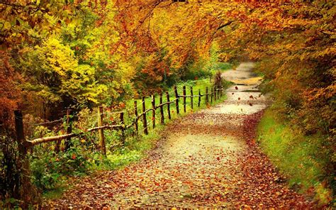 Country Road Backgrounds