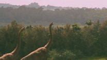 Jurassic Park Parque Dos Dinossauros Filme Adorocinema