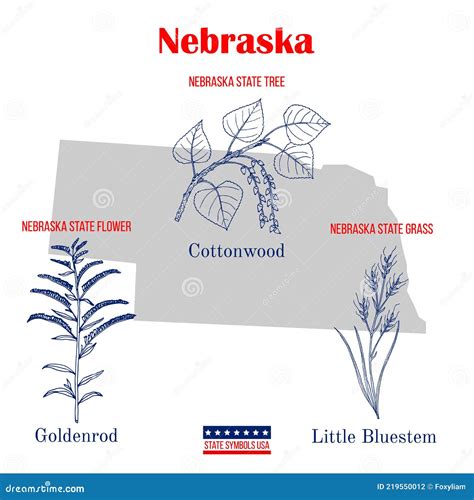 Nebraska Set Of Usa Official State Symbols Stock Vector Illustration