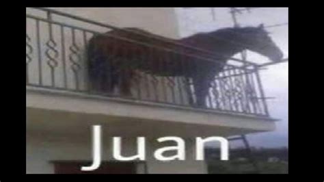 By juan carlos | horses, animals. Juan meme. Juan Horse meme. Juan memes compilation. - YouTube