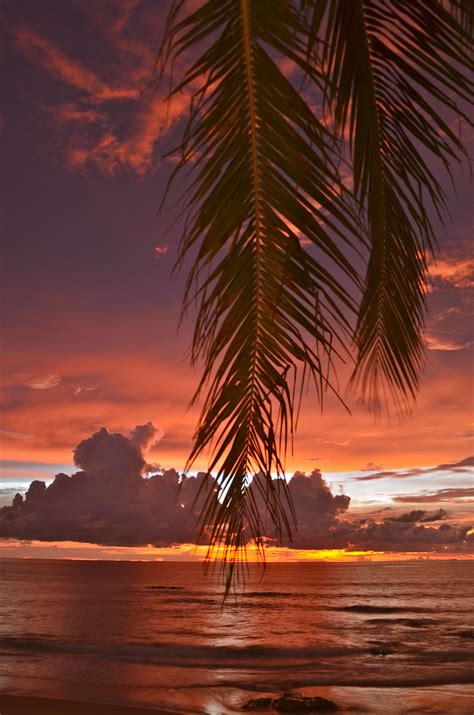 Really Magic Sunsets At Kamala Beach Phuket Thailand With Love From