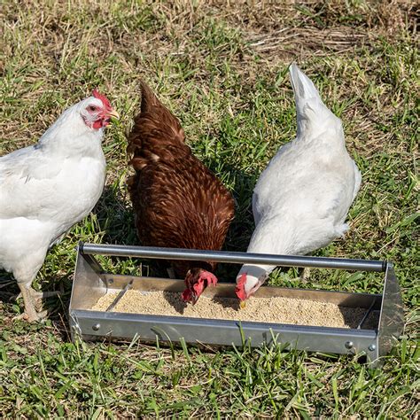 Business Industry And Science Chicken Trough Feeder Standard 2 Pack Tusk
