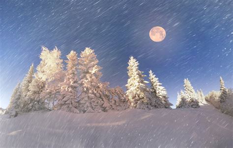 Download Moon Snowfall Forest Tree Snow Nature Winter 4k Ultra Hd Wallpaper