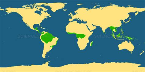 Rainforests typically receive over 2000mm of rain each year. Science Source - World Map with Tropical Rainforest Areas