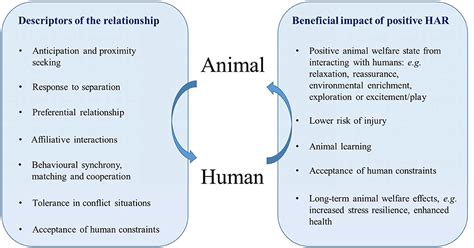 Frontiers The Power Of A Positive Humananimal Relationship For