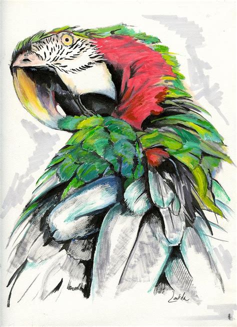 Parrots Rule Drawing By Janet Lavida