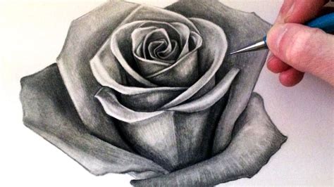 How to Draw a Rose - YouTube gambar png