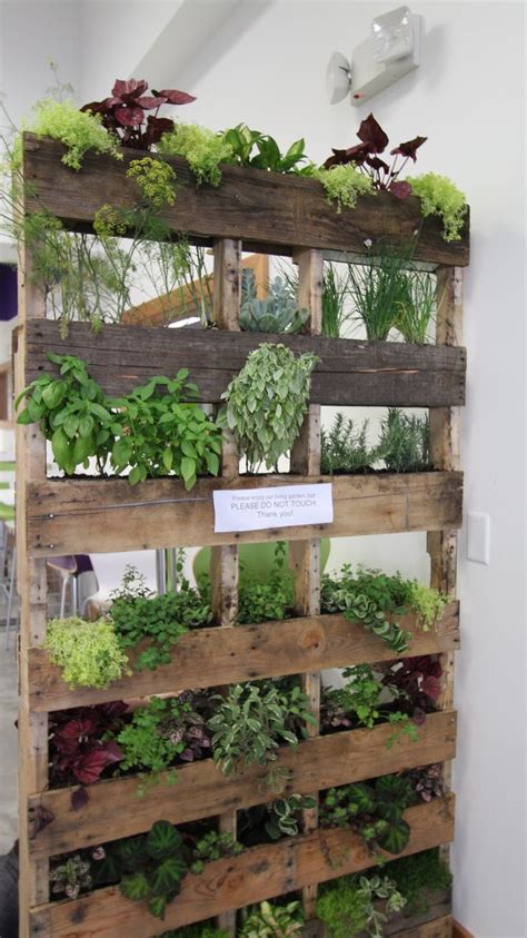 50 Best Vertical Herb Gardens Images On Pinterest