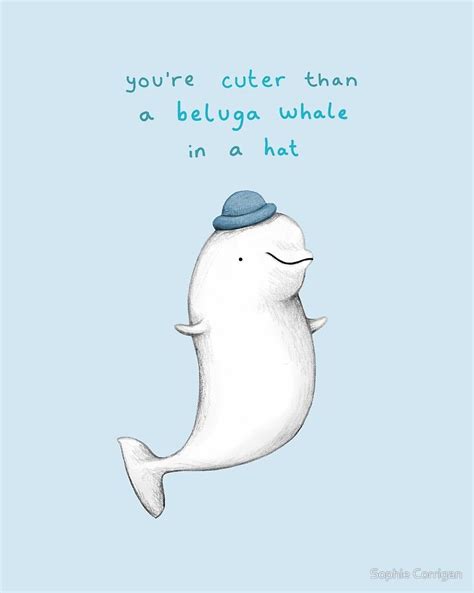 Youre Cuter Than A Beluga Whale In A Hat By Sophie Corrigan Orcas
