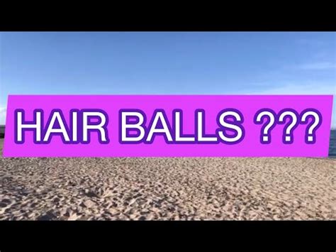 What Is That Lots Of Hairy Balls At The Beach Alicante Spain