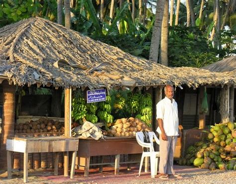 Coconut Seller At Salalah Oman Salalah Zufar Salalah Oman Hotel