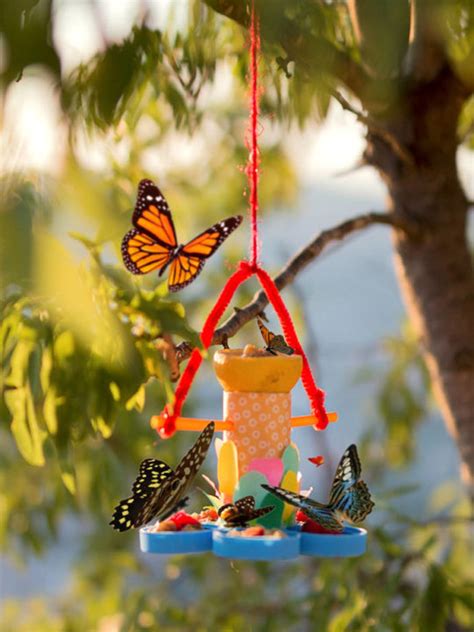Autumn is the harvest time. 13 DIY Butterfly Feeders To Attract More Butterflies ...