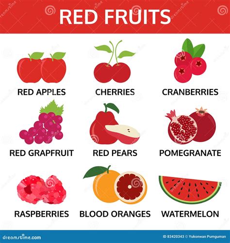 Red Fruits Collection Food Vector Illustration Stock Vector