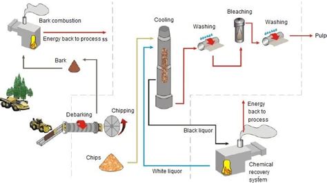 Technological Flow Of Chemical Pulp Production Download Scientific